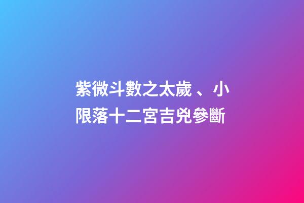 紫微斗數之太歲、小限落十二宮吉兇參斷